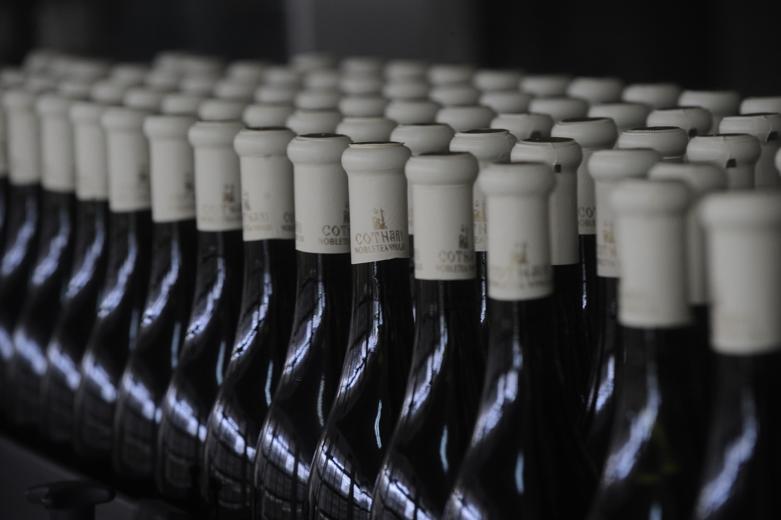 Мурфатлар Вино Купить В Спб