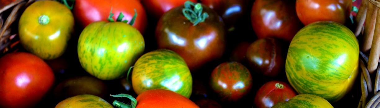 Tomate de grădină