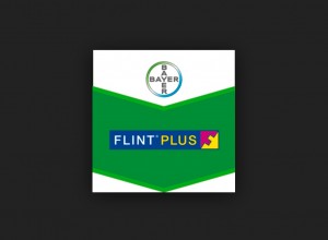 FLINT PLUS 64 WG