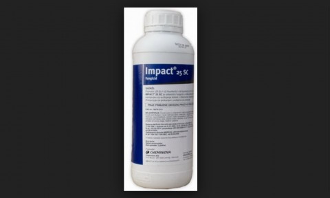 Impact 25 SC