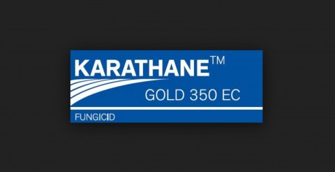 Karathane Gold 350 EC