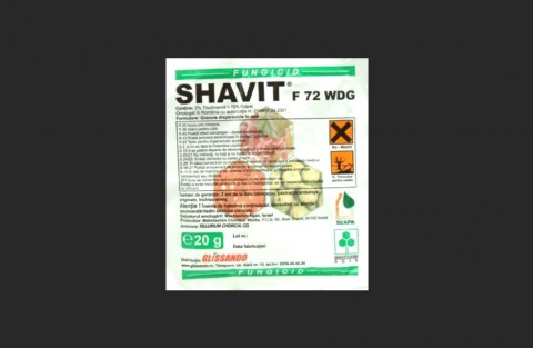 Shavit F 72 WDG