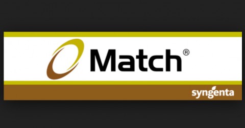 Match 050 EC