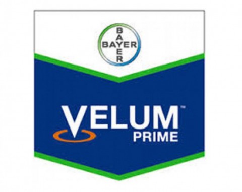Velum Prime 400 SC
