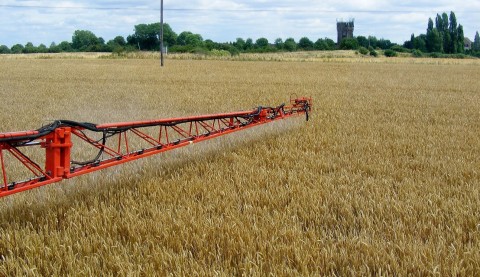 Stropire cu glifosat, pentru desicarea culturilor cerealiere