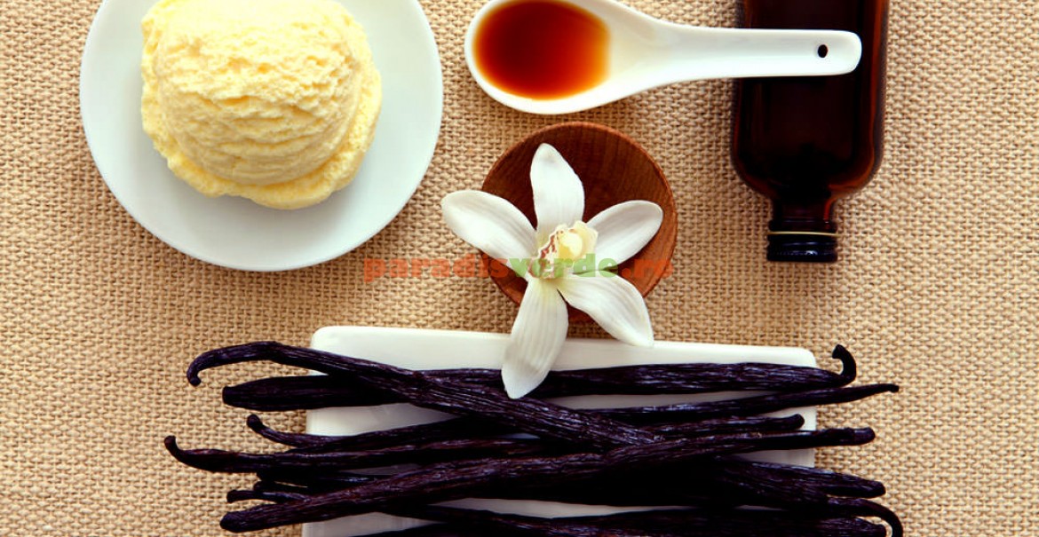 Floare şi păstăile de vanilie, secretul unui gust fără egal!