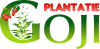 Logo plantatie Goji